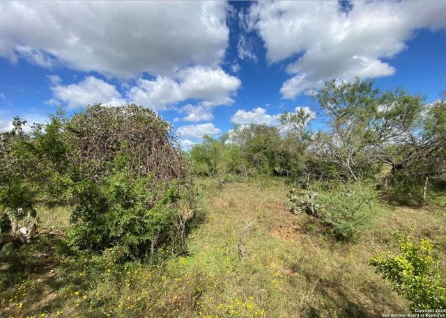 245 Buttercup Ln, Floresville, TX 78114