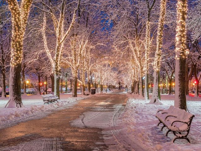 233 Commonwealth Ave 1, Boston, MA 02116