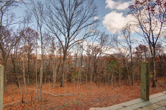 1690 Skyview Drive, Branson, MO 65616