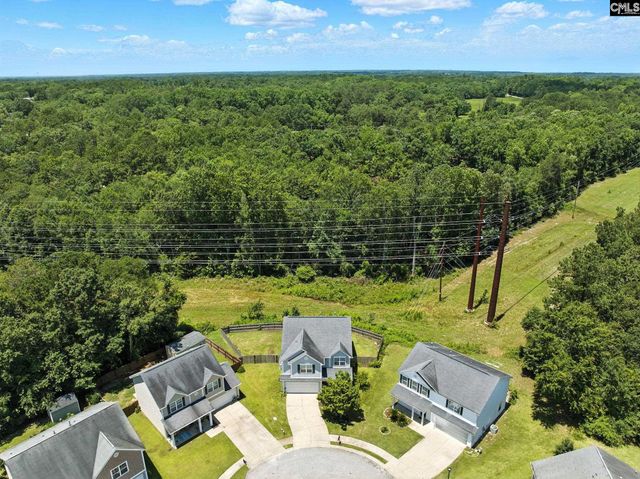 285 Black Pine Court, Lexington, SC 29073