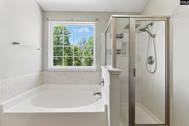 285 Black Pine Court, Lexington, SC 29073