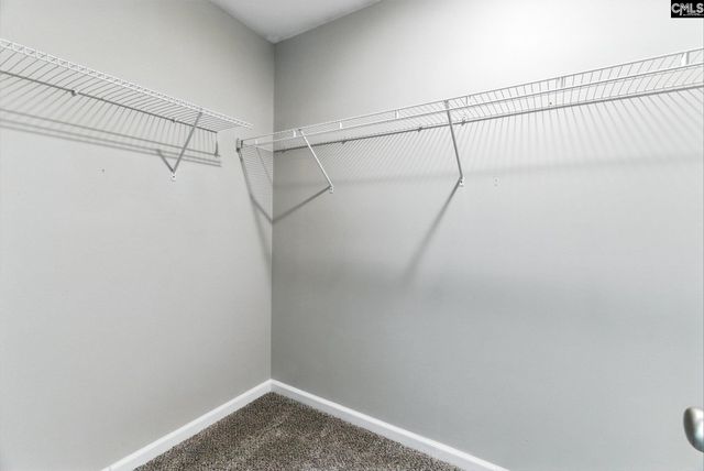 285 Black Pine Court, Lexington, SC 29073