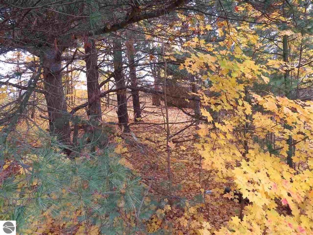 Image 2 of property listing at Lot 69 Eden Street, Kingsley, MI 49649