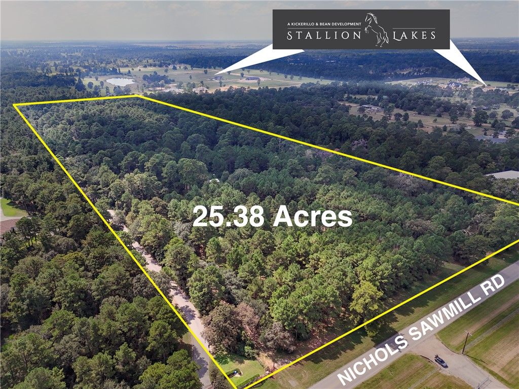 22940 Nichols Sawmill Road, Hockley, TX 77447