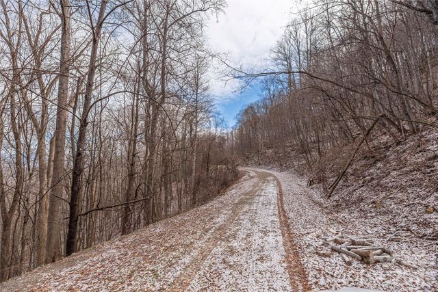 00 Curry Comb Trail 516, Waynesville, NC 28785