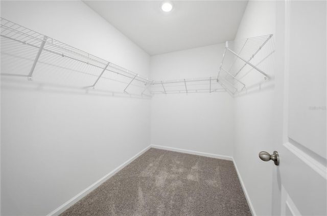 6155 DAERR RIDGE STREET, Zephyrhills, FL 33542