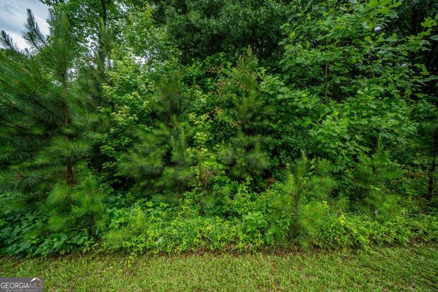 0 Suwanee Dam Road, Suwanee, GA 30024
