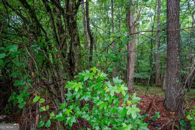 0 Suwanee Dam Road, Suwanee, GA 30024