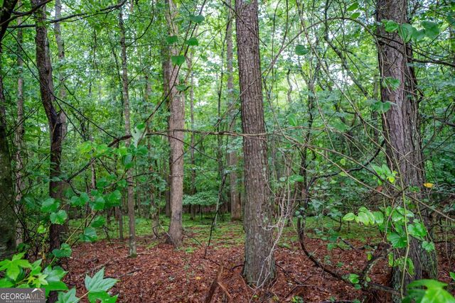 0 Suwanee Dam Road, Suwanee, GA 30024