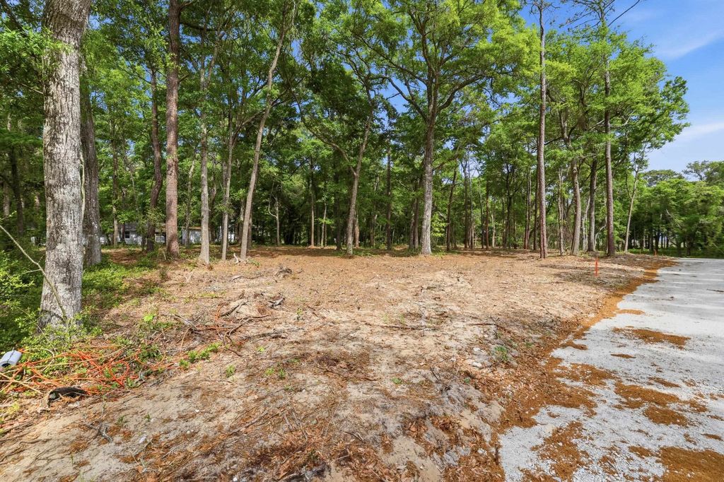 1424 Jacks Circle Rd., North Myrtle Beach, SC 29582 — photo 5