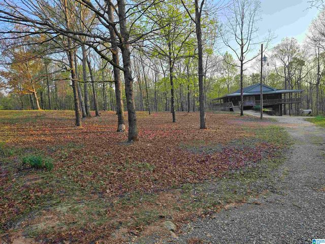 11971 AL HIGHWAY 22, Rockford, AL 35136