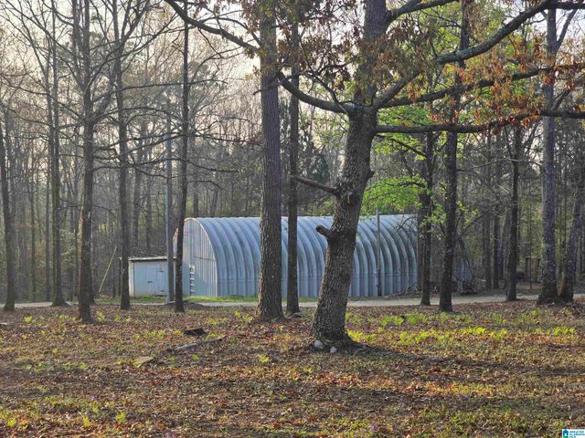 11971 AL HIGHWAY 22, Rockford, AL 35136