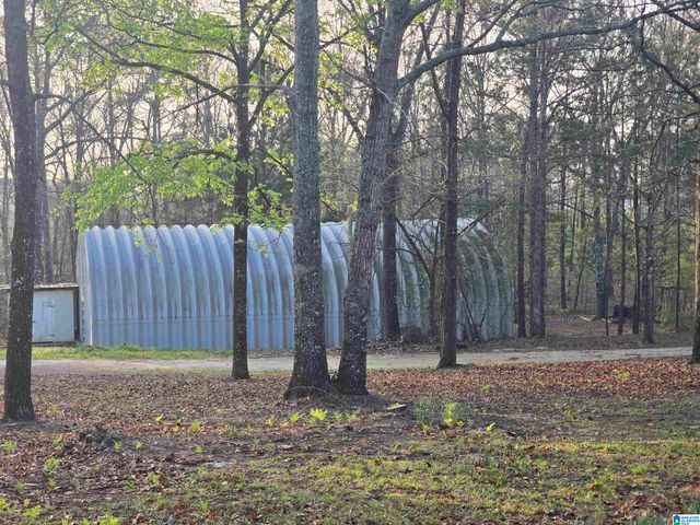 11971 AL HIGHWAY 22, Rockford, AL 35136