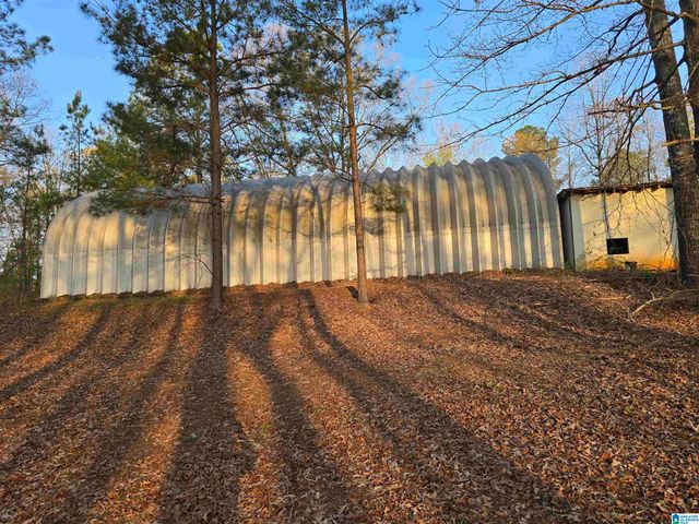 11971 AL HIGHWAY 22, Rockford, AL 35136