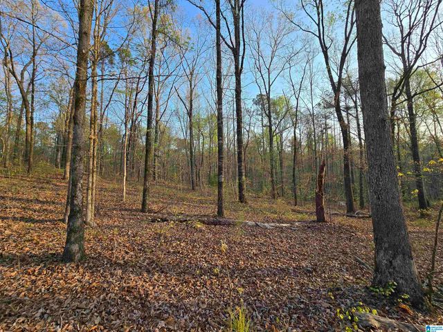 11971 AL HIGHWAY 22, Rockford, AL 35136