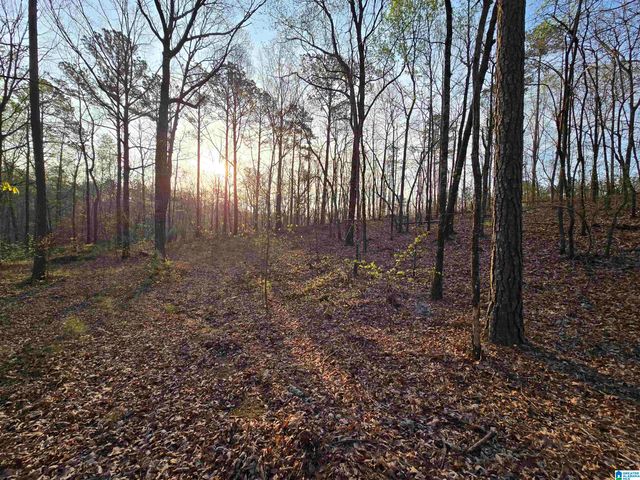 11971 AL HIGHWAY 22, Rockford, AL 35136