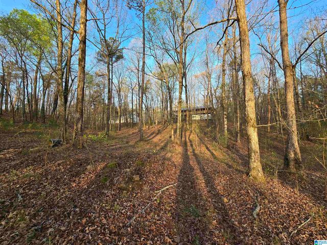 11971 AL HIGHWAY 22, Rockford, AL 35136