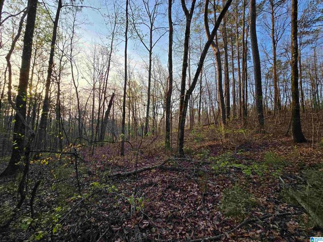 11971 AL HIGHWAY 22, Rockford, AL 35136