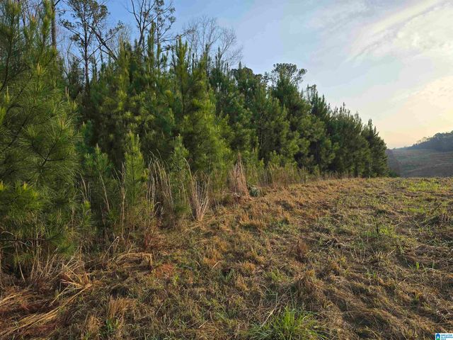 11971 AL HIGHWAY 22, Rockford, AL 35136