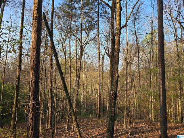 11971 AL HIGHWAY 22, Rockford, AL 35136