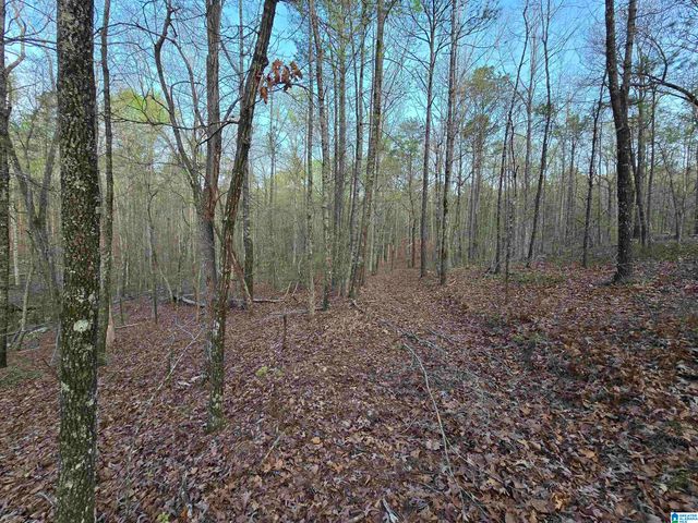 11971 AL HIGHWAY 22, Rockford, AL 35136