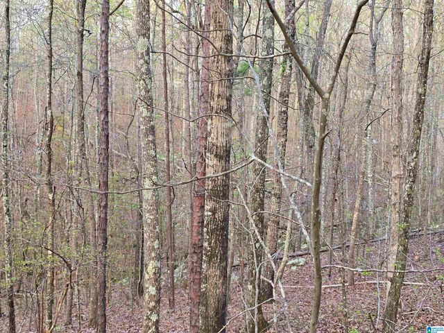 11971 AL HIGHWAY 22, Rockford, AL 35136