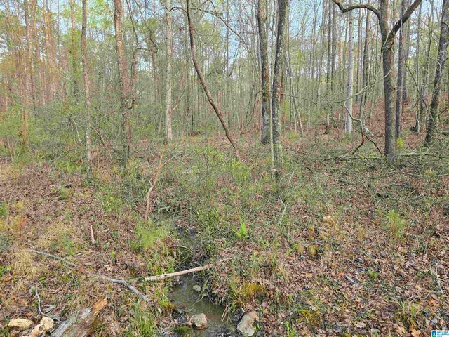 11971 AL HIGHWAY 22, Rockford, AL 35136