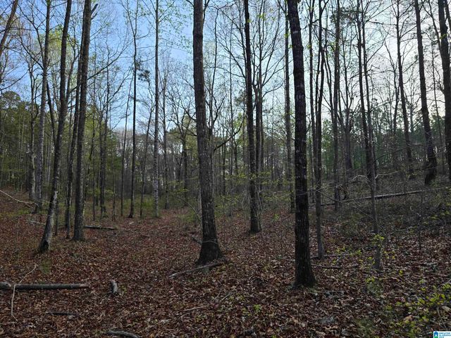 11971 AL HIGHWAY 22, Rockford, AL 35136