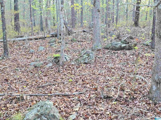 11971 AL HIGHWAY 22, Rockford, AL 35136