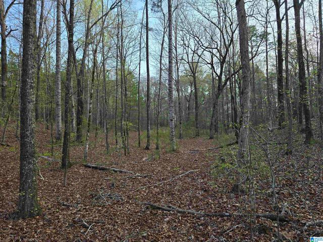 11971 AL HIGHWAY 22, Rockford, AL 35136