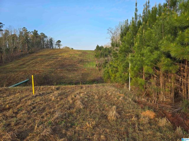 11971 AL HIGHWAY 22, Rockford, AL 35136