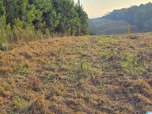 11971 AL HIGHWAY 22, Rockford, AL 35136