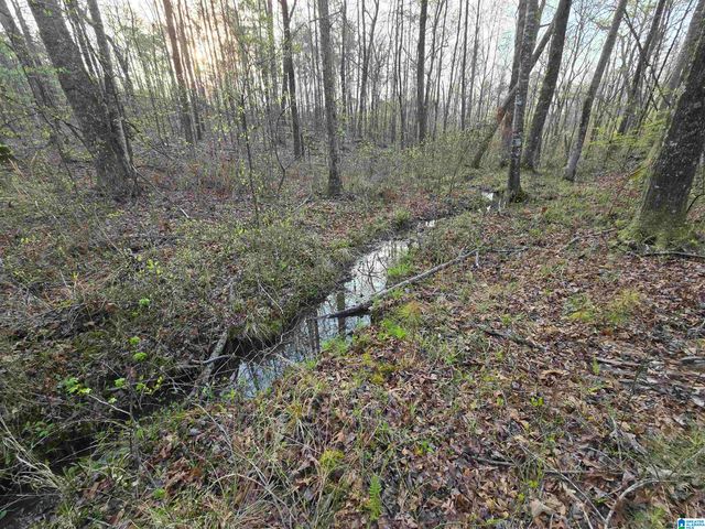 11971 AL HIGHWAY 22, Rockford, AL 35136