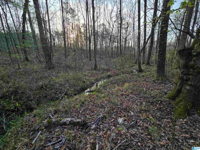 11971 AL HIGHWAY 22, Rockford, AL 35136