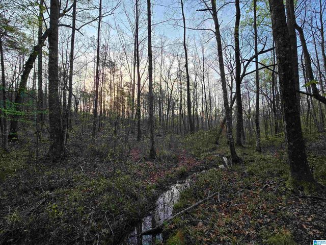 11971 AL HIGHWAY 22, Rockford, AL 35136