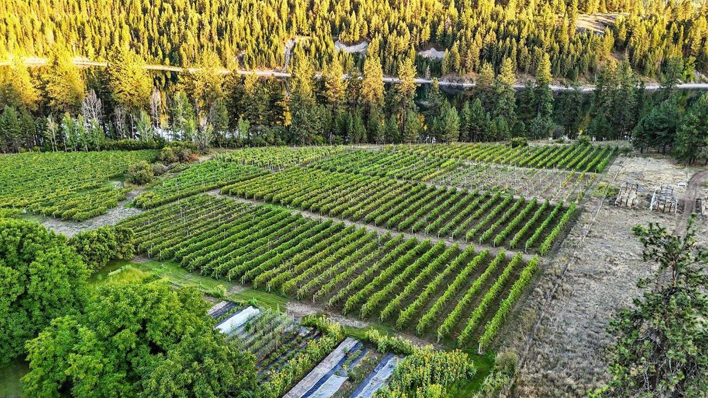 3752 Vineyard Way, Kettle Falls, WA 99141 photo 21