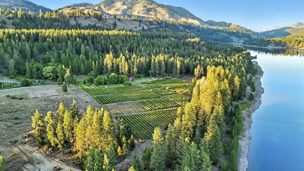 3752 Vineyard Way, Kettle Falls, WA 99141 photo 26