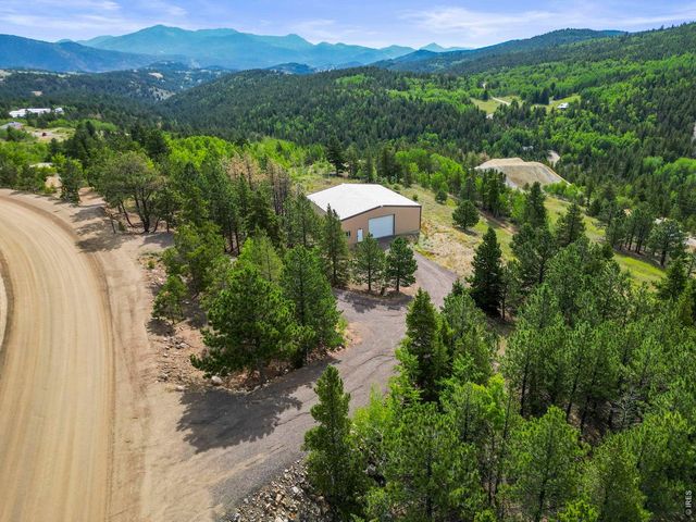 6660 Virginia Canyon Rd, Central City, CO 80427