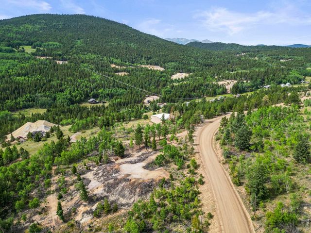 6660 Virginia Canyon Rd, Central City, CO 80427