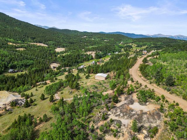 6660 Virginia Canyon Rd, Central City, CO 80427