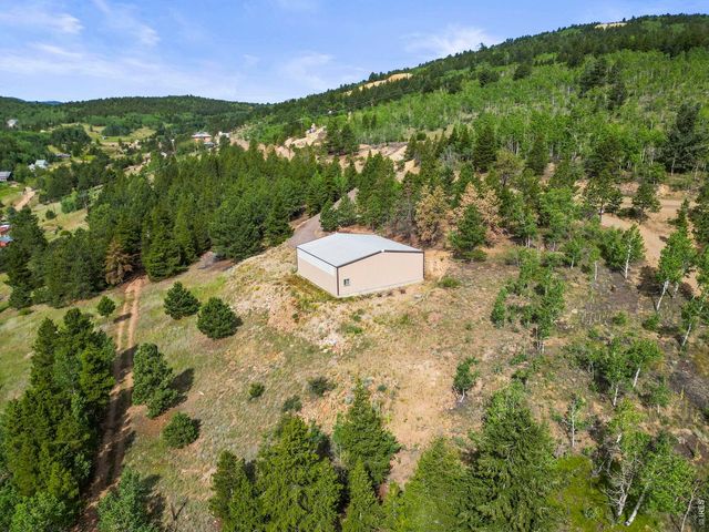 6660 Virginia Canyon Rd, Central City, CO 80427