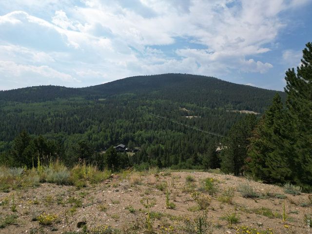 6660 Virginia Canyon Rd, Central City, CO 80427