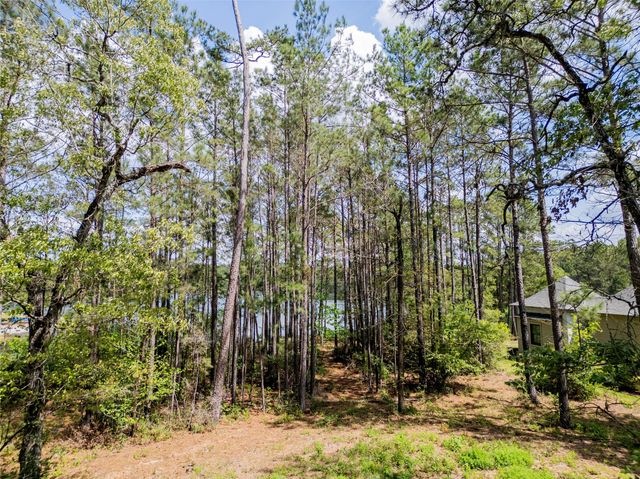 4473 Holly Trail Road, Montgomery, TX 77316