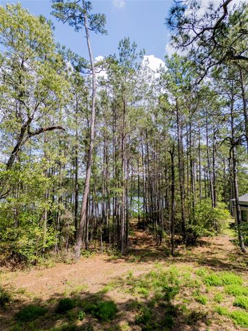 4473 Holly Trail Road, Montgomery, TX 77316