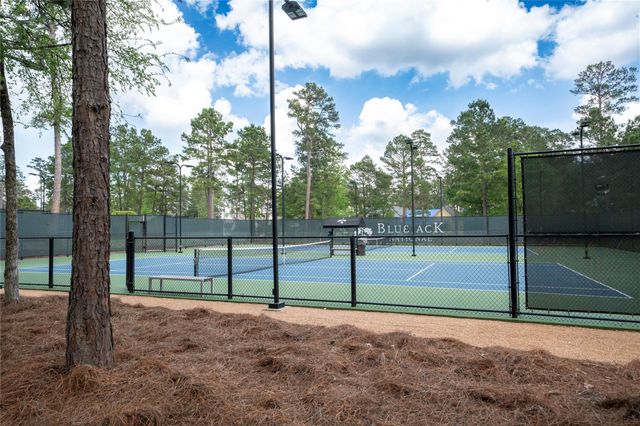 4473 Holly Trail Road, Montgomery, TX 77316