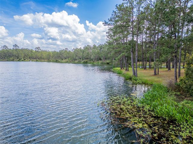 4473 Holly Trail Road, Montgomery, TX 77316