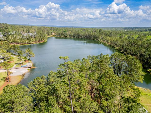 4473 Holly Trail Road, Montgomery, TX 77316