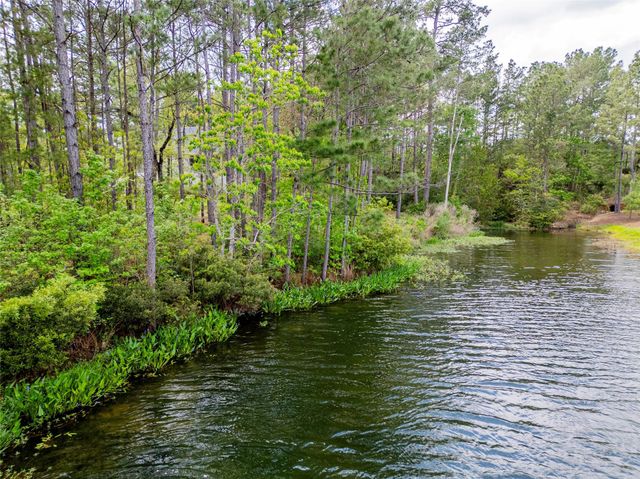 4473 Holly Trail Road, Montgomery, TX 77316