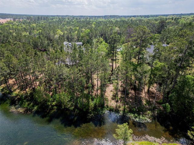 4473 Holly Trail Road, Montgomery, TX 77316