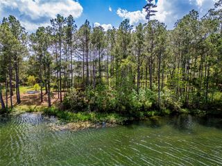 4473 Holly Trail Road, Montgomery, TX 77316